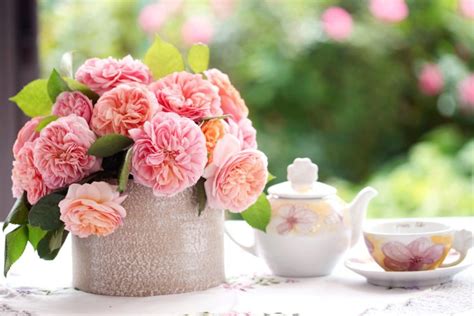 Blurring Bokeh Flower Hd Morning Pink Rose Teapo Wallpapers Hd