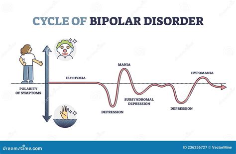 Cycle Of Bipolar Disorder And Rapid Emotional Mood Changes Outline