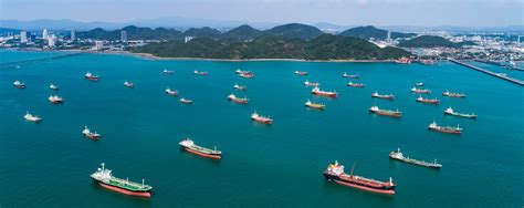 Fleet Capesize Panamax Supramax Handysize Coaster Dry Bulk Ships