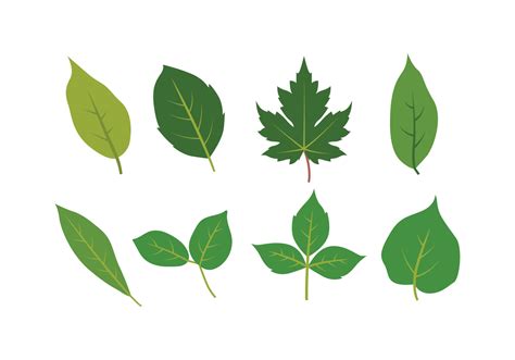 Leaves Icon Set 154854 Vector Art At Vecteezy