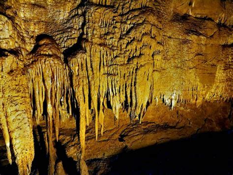 Mammoth Cave National Park Tours Kentucky Whizzed Net
