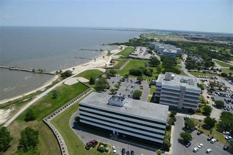 Uno Pioneers Rejuvenate The Beach Research Park With New Name Vital