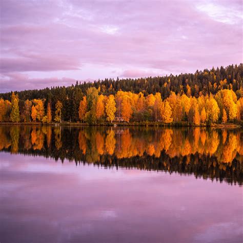 Download Wallpaper 2780x2780 Forest Trees Lake Reflection Autumn
