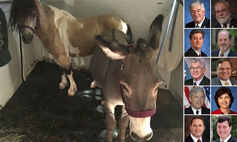 Louisiana passes bill making sexual abuse of an animal illegal but TEN
