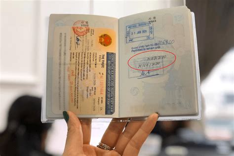 Vietnam E Visa Official Website Everything You Need To Know Vietnam Embassy In Cairo Egypt