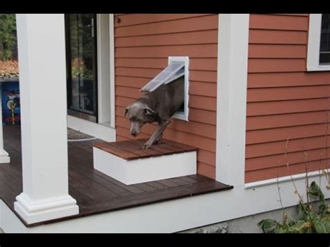 Not valid on replacement parts or installation. Installing A Pet Door - YouTube