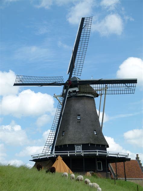 Medemblik De Herder Wind Mills Wind Power Le Moulin Space Needle Water Pumps Dutch