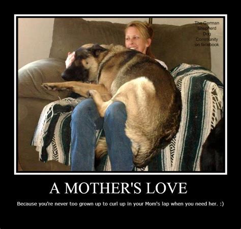 A Mothers Love Big Dogs I Love Dogs Puppy Love Dogs And Puppies