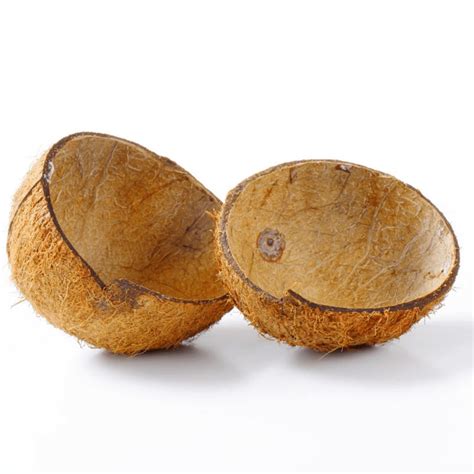 4 Pieces Eco Friendly Coconut Shell Halves 100 Organic Etsy