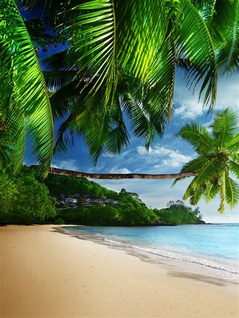 Coast Paradise Tropical Sea Sky Wallpaper - [1536x2048]