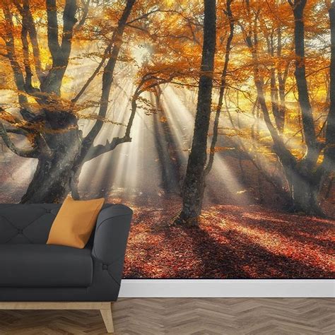 Wall Mural Sun In Autumn Forest Autumn Forest Mural Fotobehang