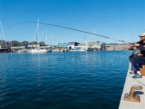 ᐈ Los Mejores Lugares Para Pescar En Barcelona En 2022