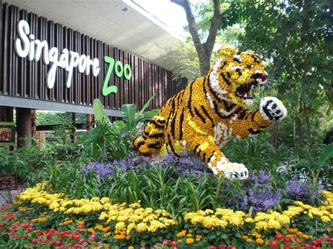 Faune Merveilleuse Au Zoo De Singapour