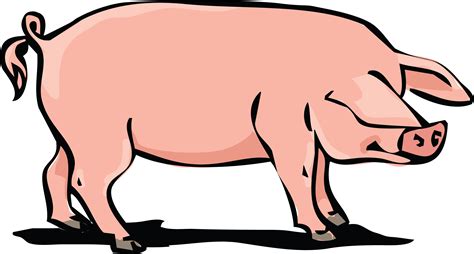 Free Pork Cliparts Download Free Pork Cliparts Png Images Free