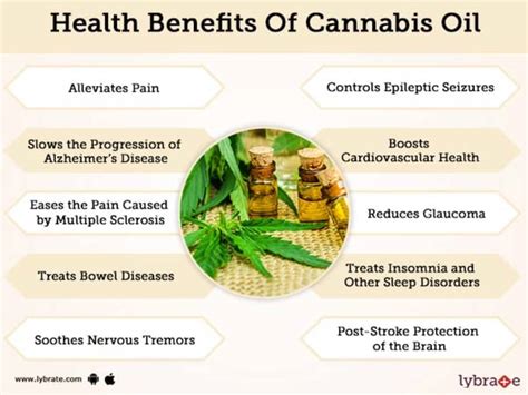What Are The Advantages And Disadvantages Of Hemp Oil 27f Chilean Way