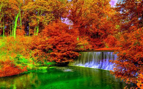 عکس منظره آبشار در جنگل پاییزی Paisaje De Otoño Fondo De Pantalla De