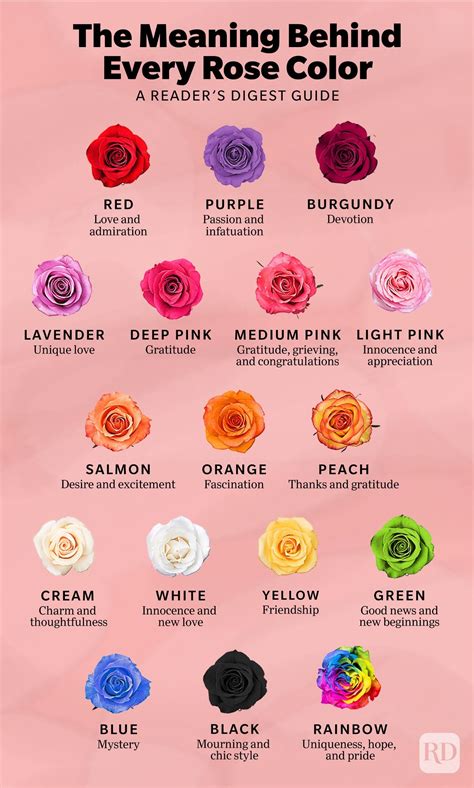 17 Rose Color Meanings To Help You Pick The Perfect Bloom Every Time