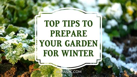 10 Tips For Preparing Your Garden For Winter The Old Farmers Almanac