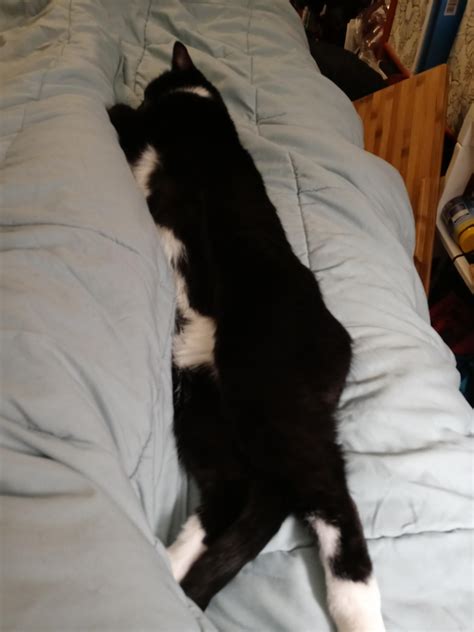 Stretchedpussy