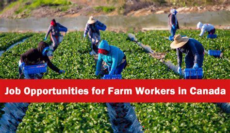 job opportunities for farm workers in canada apply here