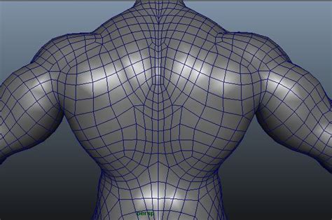 Topology Of Human 3d Modelling Texturing Rendering Animation Tutorial
