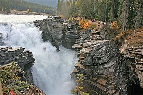 Chute Athabasca Cascades Fleuve Athabasca Falls Jasper National