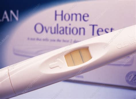 Home Ovulation Test Stock Image M8000067 Science Photo Library