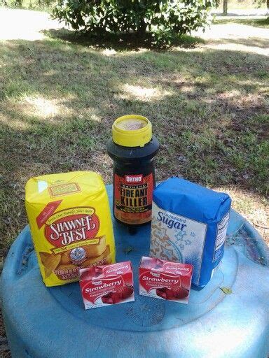 It's not the cornmeal that kills ant colonies, but the toxic product that is incorporated into it. Pin on Mixing it Up!