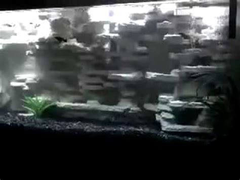 My first attempt at a diy 3d aquarium background. 3D aquarium background DIY 55 Gallon Freshwater - YouTube