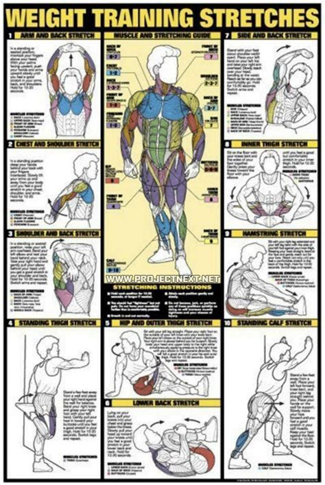 Weight Training Stretches Fat Burning Sixpack Abs