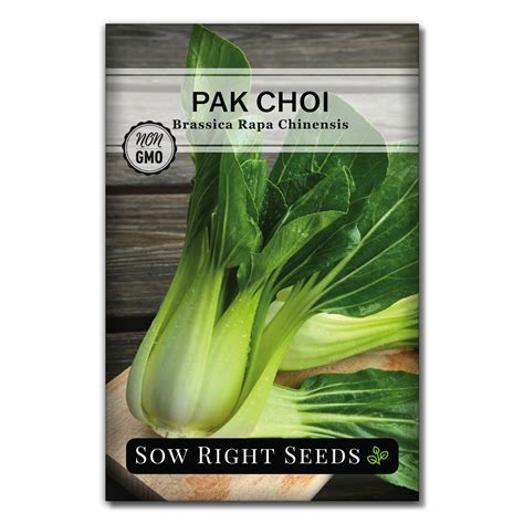 Buy Sow Right White Stem Pak Choi Seed For Ing Bok Choy Or Chinese