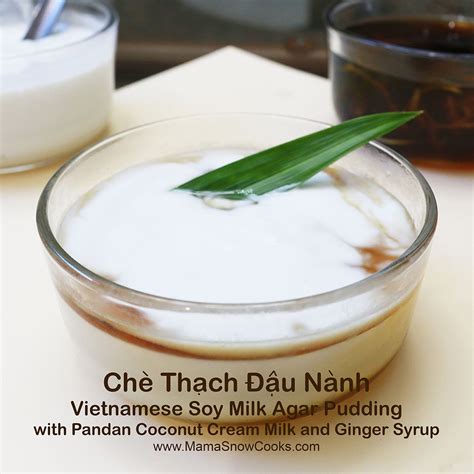 Vietnamese Soy Milk Agar Pudding With Pandan Coconut Cream Milk And