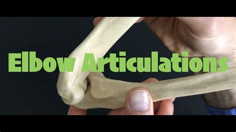 Elbow Articulations Youtube
