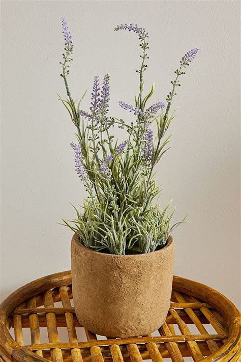 Lavender Faux Potted Plant Urban Outfitters Uk