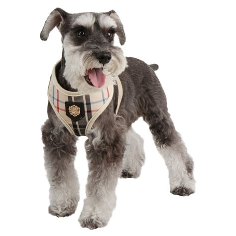 If you have an the last on the list of our best dog harnesses is the one from puppia, a lesser known company that. Junior Dog Harness by Puppia - Beige | BaxterBoo