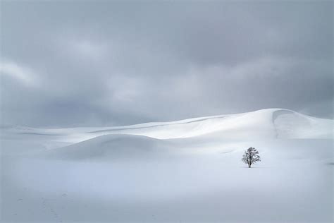 Winter Solitude 7142 Photograph By Karen Celella Fine Art America