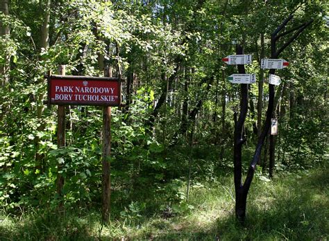 Hotel bardzo przyjazny, od wejścia uśmiechnięta usługa, i tak przez cały pobyt, zarówno w restauracji, spa jak i pozostały personel. Park Narodowy "Bory Tucholskie" z siedzibą w miejscowości ...