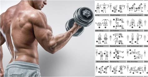 Biceps Workout That Will Have You Bursting Through Your Sleeves