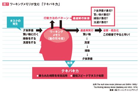 Home > a level and ib > psychology > atkinson and shiffrin 1968 multi store model. 「ありのママ採用」のススメ／STEP3 ケイパビリティ＜テキパキ力/ワーキングメモリ＞ | ジョブズリサーチセンター