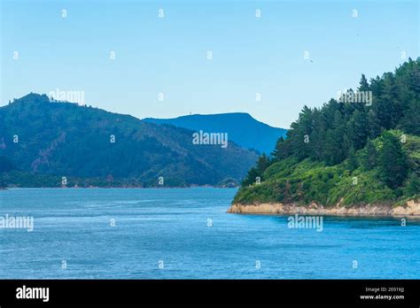 Queen Charlotte Sound At South Island Of New Zeland Stock Photo Alamy