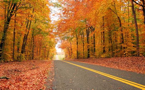 The Best Places To See Fall Foliage In The United States Travel Leisure