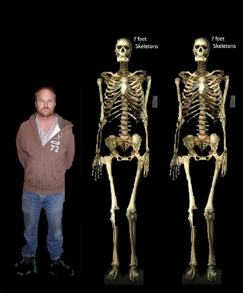 2 Larger Than 7 Foot Greater Ancestors