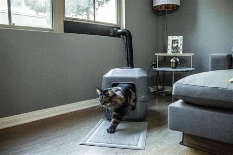 What is the best way to control cat litter? KITTYVENT (With images) | Best cat litter, Cat litter odor ...