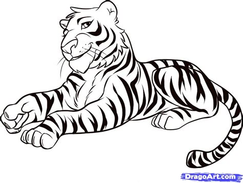 Bengal Tiger Drawing At Getdrawings Free Download