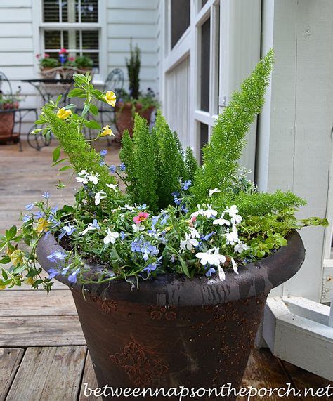 Bright Fall And Winter Flower Pot Backyard Makeover Pinterest