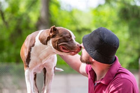 el dueño de la mascota recibe un beso lamido de su perro amoroso vínculo afectuoso foto premium