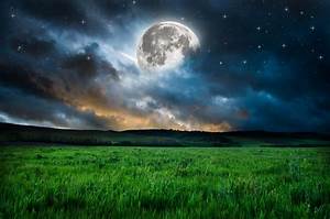 Moon, Grass, Mood, Night, Stars, Fantasy, Dream, Nature