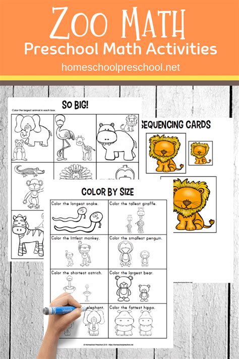 Free Printable Zoo Math Worksheets For Preschoolers Zoo Activities