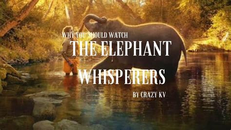 Why You Should Watch The The Elephant Whispereroscar Winning Tamil
