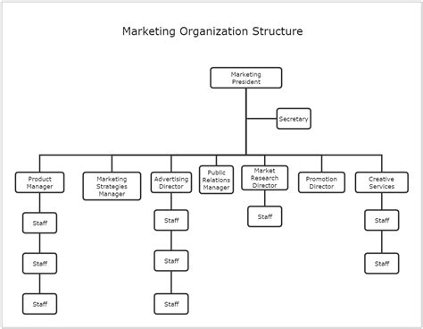 Marketing Organization Structure Template Edrawmax Edrawmax Templates